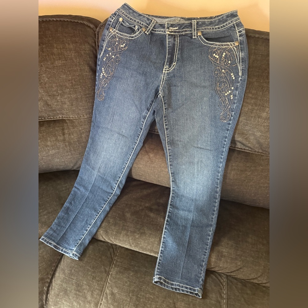 Blue Skinny Jeans with Embroidery